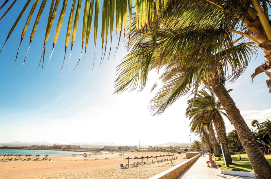 Le printemps éternel vous attend : dévoiler le charme de Fuerteventura en février